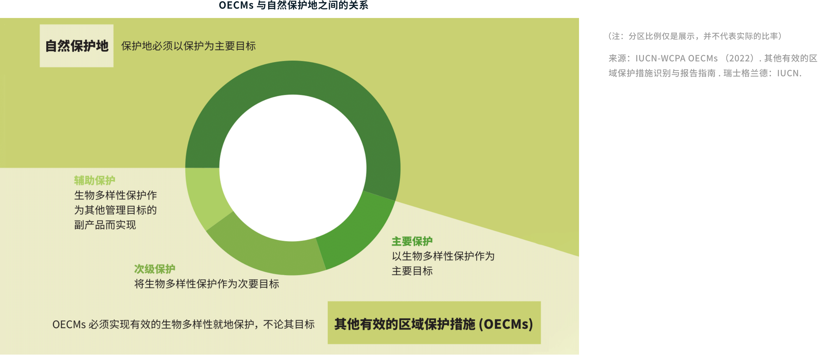 定义及内涵 3
