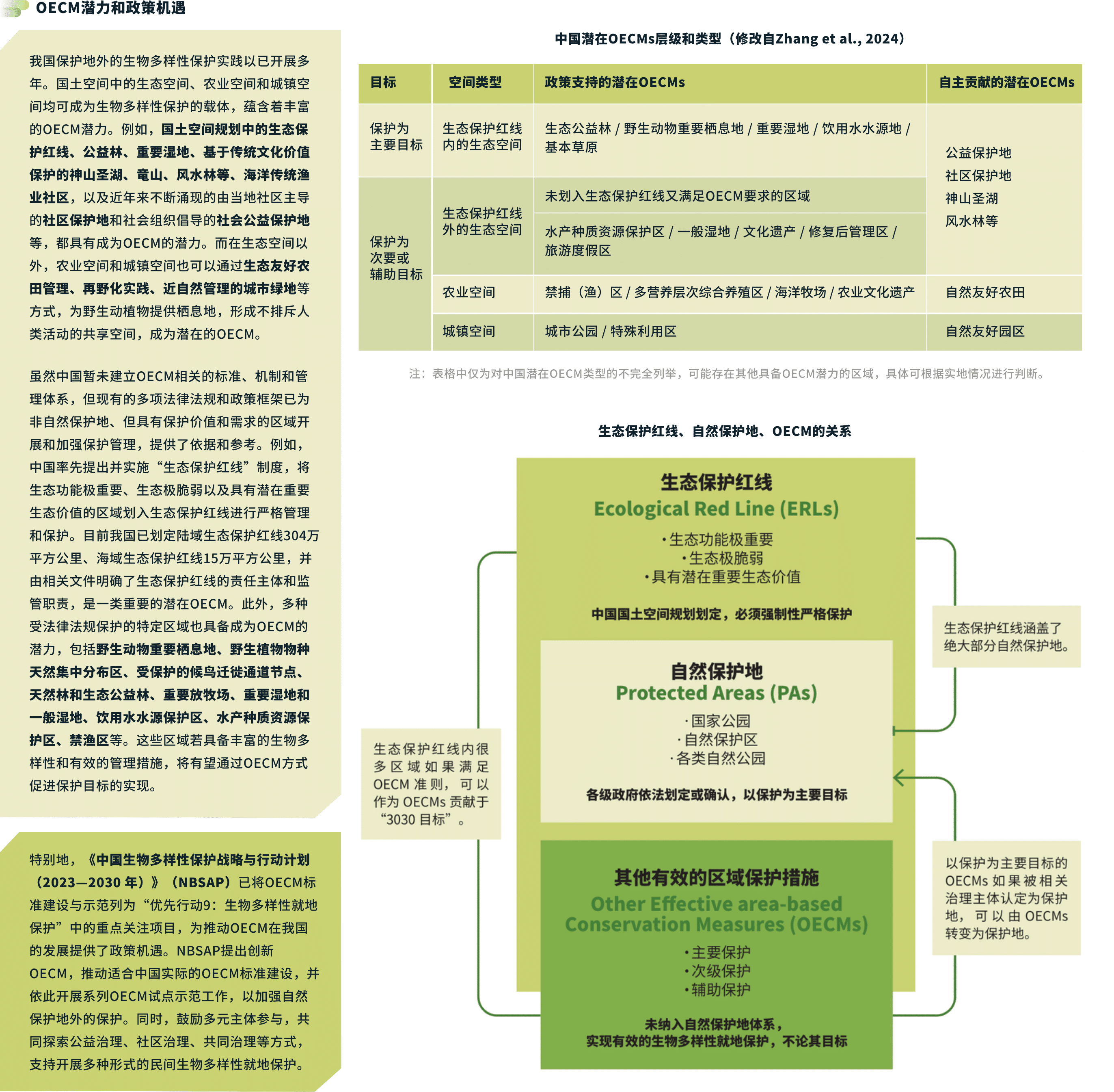 OECM潜力和政策机遇