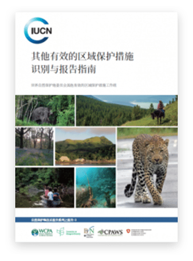其他有效的区域保护措施识别与报告指南